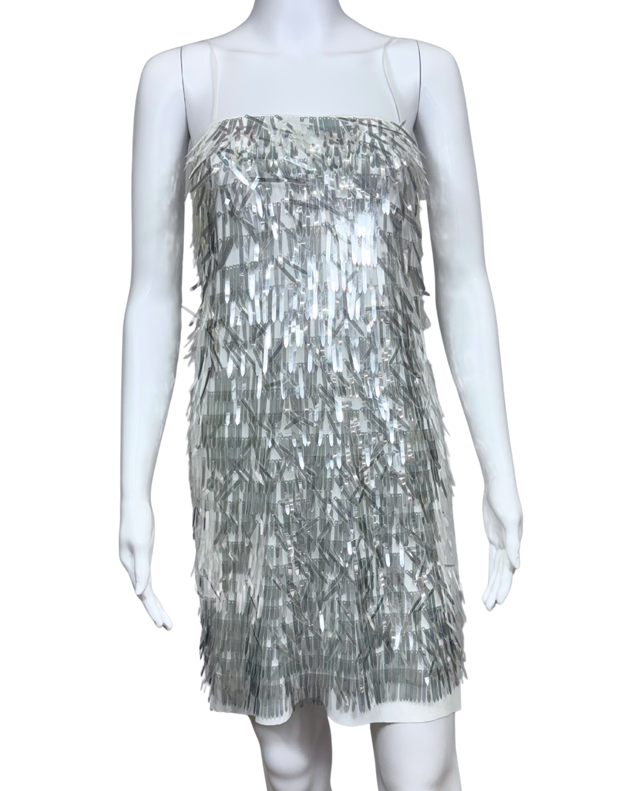 Fringe Mini Dress